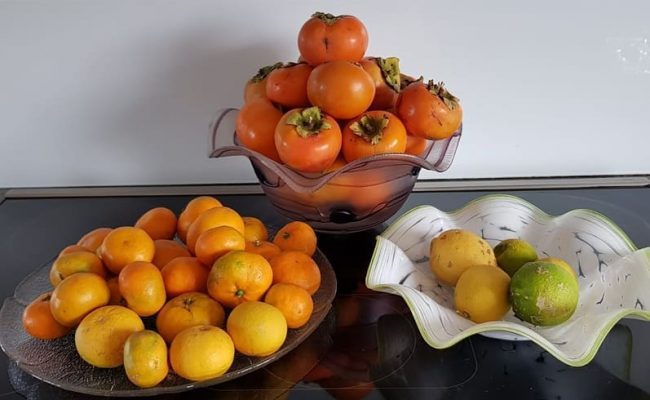 autumn fruits