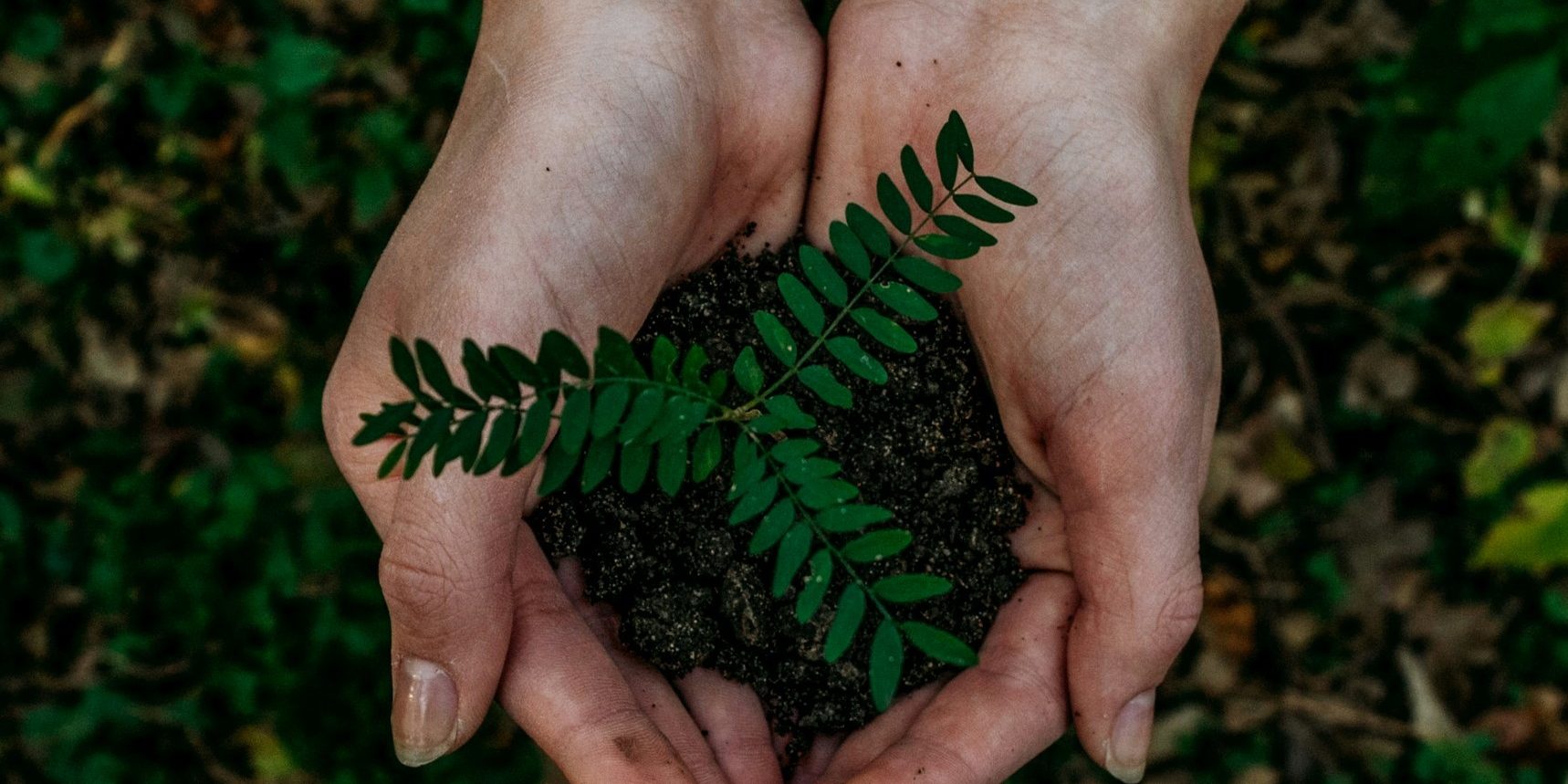 Clean and Conscious Awards 2024. Solimara Truly Natural Clean and Conscious Awards 2024. Solimara Truly Natural